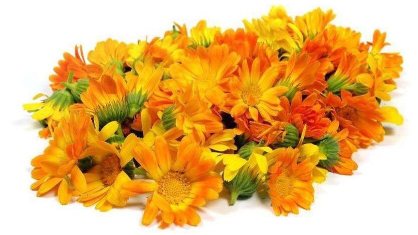 Promicil'de Calendula Extract