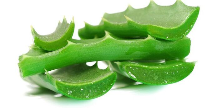 tırnak mantarının tedavisi için aloe